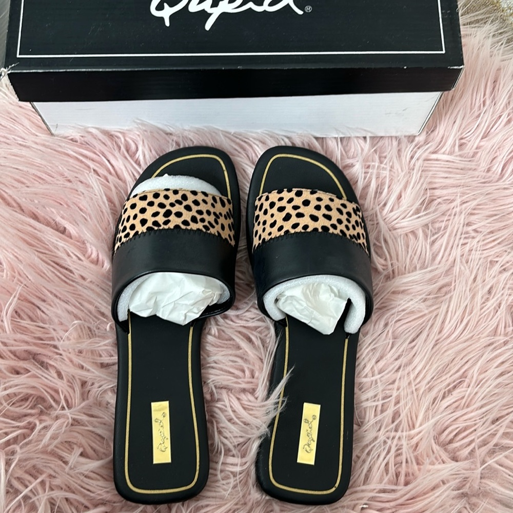 CASSIE SLIDES